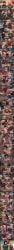 mavis_dracula, seras_victoria, hellsing, hellsing_ultimate, hotel_transylvania