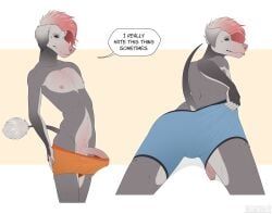 masonparker, anthro, big_penis, biped, boxer_briefs