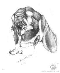 blotch, animal_genitalia, animal_penis, anthro, balls