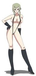nonette_enneagram, code_geass, female, grey_hair, knights_of_the_round