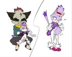 blaze_the_cat, timur_yazid, sonic_(series), sonic_the_hedgehog_(series), dragonflyempress