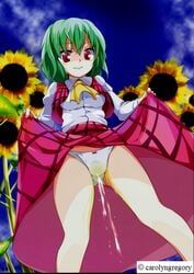 yuka_kazami, touhou, 1girls, female, golden_shower