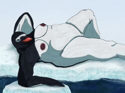 anthro, areola, avian, bird, dark_areola