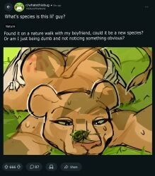 kit_mambo, rene_fromage, animalympics, reddit, anthro