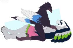 blitz_the_seahawk, lester_(jethrobuck), nfl, seattle_seahawks, rustymiko