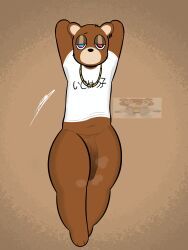 dropout_bear, graduation_(album), kanye_west_(copyright), yosoybonfie, bear