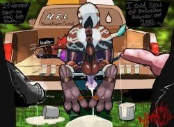 2_anuses, 3_toes, ambiguous_species, animal_genitalia, animal_penis