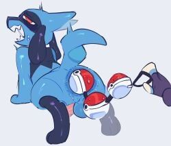 generation_4_pokemon, pokemon_(species), riolu, nintendo, pokemon