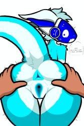anon, proto_girl_(tpaktop), roblox_avatar, robloxian, patreon