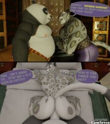 master_po_ping, tai_lung_(kung_fu_panda), dreamworks, kung_fu_panda, camseven