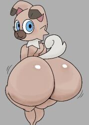 pokemon_(species), rockruff, pokemon, furu_flami, androgynous