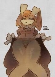 vanilla_the_rabbit, sega, sonic_the_hedgehog_(series), anthro, artist_name
