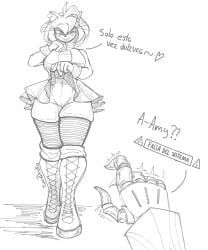 amy_rose, metal_sonic, sega, sonic_the_hedgehog_(series), anthro