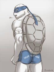 leonardo_(tmnt), teenage_mutant_ninja_turtles, teenage_mutant_ninja_turtles_(2014), baraturts, ass