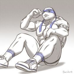 leonardo, leonardo_(tmnt), two, teenage_mutant_ninja_turtles, teenage_mutant_ninja_turtles_(2014)