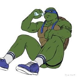 leonardo, leonardo_(tmnt), two, teenage_mutant_ninja_turtles, teenage_mutant_ninja_turtles_(2014)