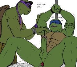 leonardo_(tmnt), michelangelo_(tmnt), teenage_mutant_ninja_turtles, teenage_mutant_ninja_turtles_(2014), baraturts