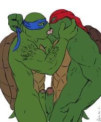 leonardo_(tmnt), raphael_(tmnt), another, teenage_mutant_ninja_turtles, teenage_mutant_ninja_turtles_(2014)