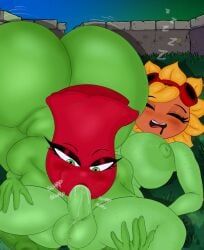 rose_(pvz), solar_flare_(pvz), sunflower_(pvz), electronic_arts, plants_vs._zombies
