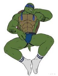 leonardo_(tmnt), two, teenage_mutant_ninja_turtles, teenage_mutant_ninja_turtles_(2014), baraturts