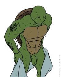 leonardo, leonardo_(tmnt), teenage_mutant_ninja_turtles, msobscure, 1boy