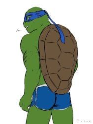 leonardo_(tmnt), teenage_mutant_ninja_turtles, teenage_mutant_ninja_turtles_(2014), msobscure, ass