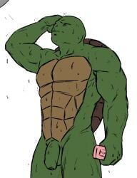 raphael, raphael_(tmnt), msobscure, arm, closed