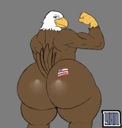 4th_of_july, yanafterdark, 1boy, american_flag, anthro