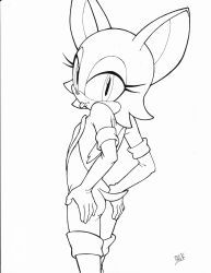 rouge_the_bat, sonic_(series), bhawk, 1girls, anthro