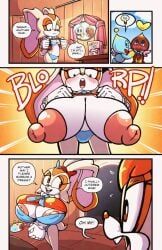 cheese_the_chao, chocola_the_chao, cream_the_rabbit, vanilla_the_rabbit, sega