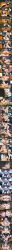 anby_demara, belle_(zenless_zone_zero), nicole_demara, vivian_banshee, zenless_zone_zero