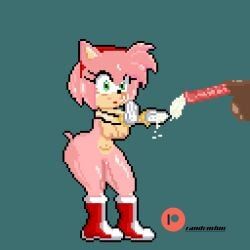 amy_rose, patreon, project_x_love_potion_disaster, sonic_(series), sonic_the_hedgehog_(series)