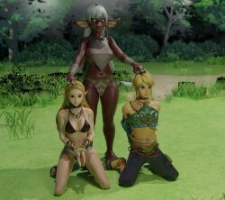 bokoblin, bokoblin_(breath_of_the_wild), link, link_(hyrule_warriors), princess_zelda