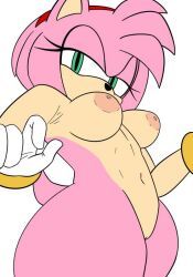 amy_rose, sonic_(series), sonic_the_hedgehog_(series), xenrevv, 1girls