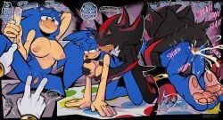 shadow_the_hedgehog, sonic_the_hedgehog, sonique_the_hedgehog, sega, sonic_(series)