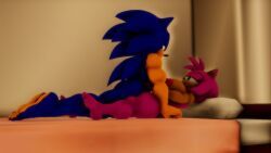 amy_rose, sonic_the_hedgehog, sega, sonic_(series), sonic_the_hedgehog_(series)