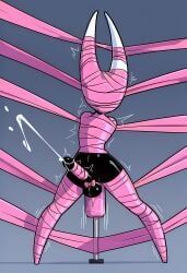 hornet_(hollow_knight), hollow_knight, hollow_knight:_silksong, 1futa, anal