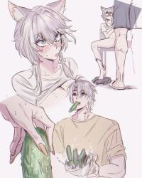 cipher_(honkai:_star_rail), phainon_(honkai:_star_rail), honkai:_star_rail, honkai_(series), hoyoverse