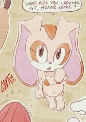 cream_the_rabbit, mobian_(species), sonic_the_hedgehog, sega, sonic_(series)