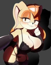 vanilla_the_rabbit, sega, sonic_(series), sonic_the_hedgehog_(series), god1annie