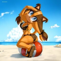 sticks_the_badger, sega, sonic_(series), sonic_boom, soranygy