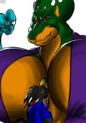 kraid, metroid, bigshow, bird, larger_female