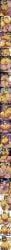 ankha, ankha_(animal_crossing), balls, animal_crossing, nintendo