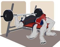 soraawoolf, anthro, armpit_sweat_stain, athletic_wear, bara