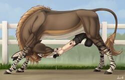 african_wild_ass, animal_genitalia, animal_penis, asinus, autofellatio
