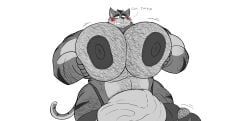 testes, tykehictow, balls, ballsack, big_cat