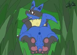 generation_4_pokemon, lucario, pokemon_(species), nintendo, pokemon