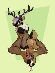 xing1, animal_genitalia, animal_penis, anthro, antlers