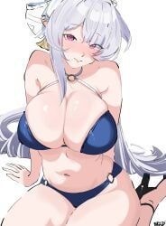 velina_airgid, zenless_zone_zero, 1girl, alternate_costume, bikini