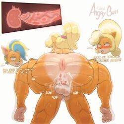 coco_bandicoot, crash_bandicoot, tawna_bandicoot, tawna_bandicoot_(crash_4), crash_(series)